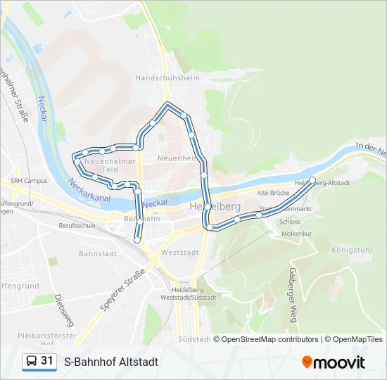 31 Bus Line Map