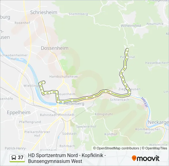 37 Bus Line Map