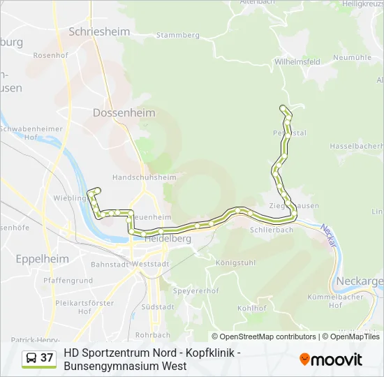 37 Bus Line Map