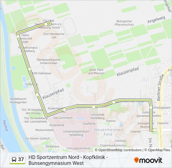 Автобус 37: карта маршрута