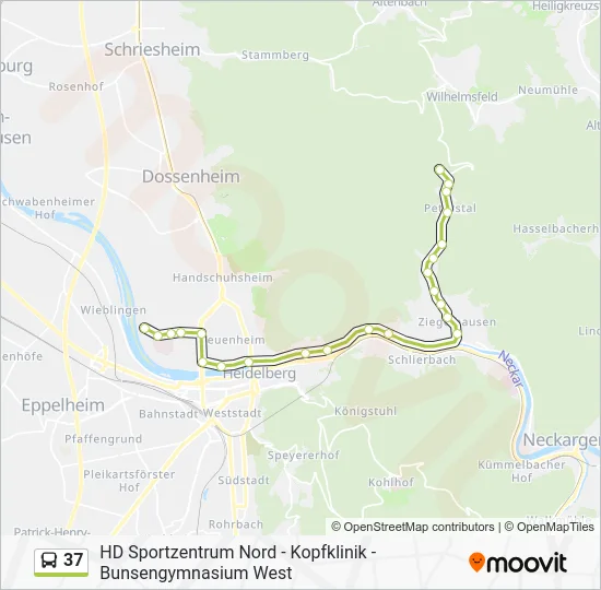 Автобус 37: карта маршрута