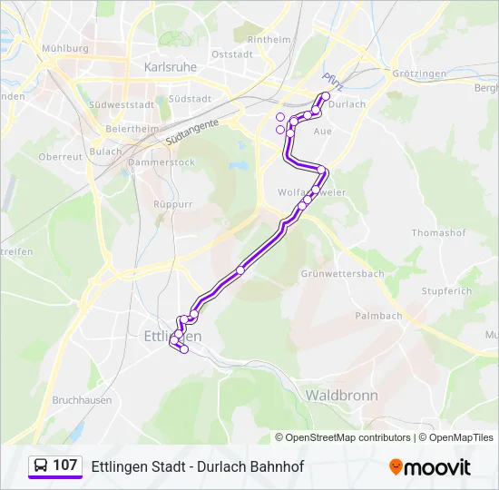 107 Bus Line Map