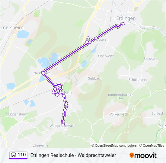 110 Bus Line Map