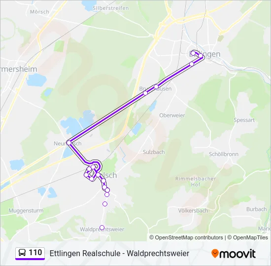 110 Bus Line Map