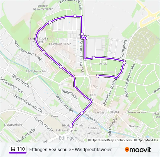 110 Bus Line Map