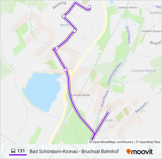 131 Bus Line Map
