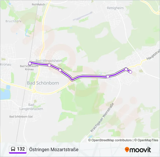 132 Bus Line Map