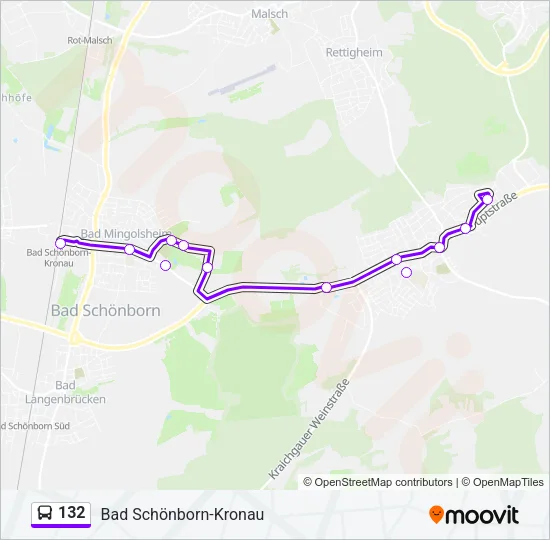132 Bus Line Map