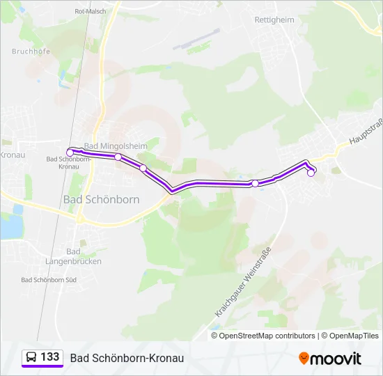 133 Bus Line Map