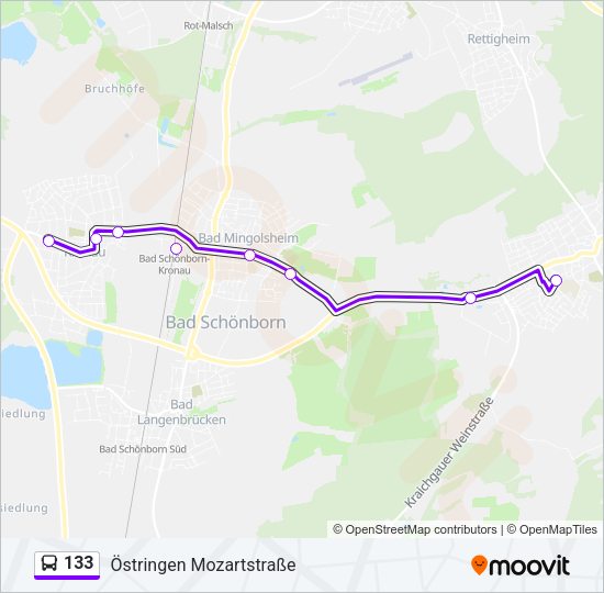 Автобус 133: карта маршрута