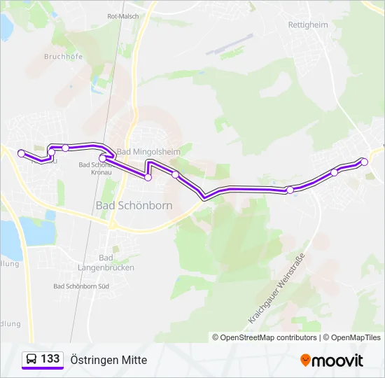 133 Bus Line Map