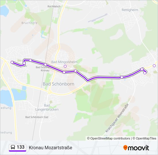 Автобус 133: карта маршрута