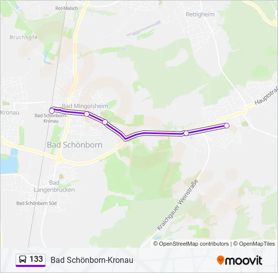 Автобус 133: карта маршрута