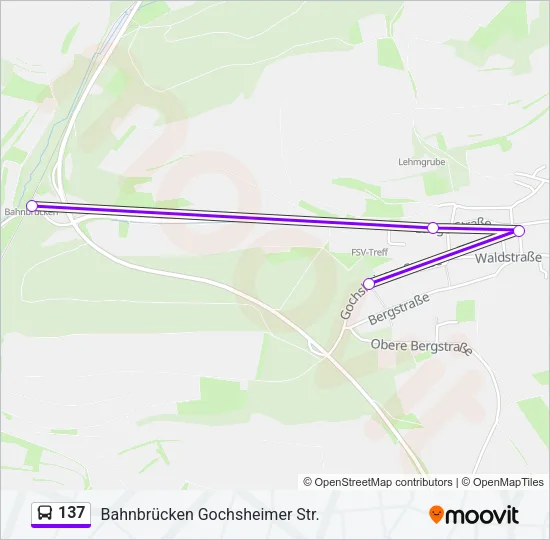 137 Bus Line Map