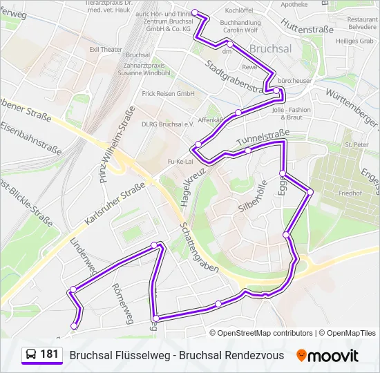 181 Bus Line Map