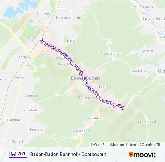 201 Bus Line Map