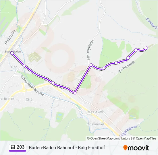 203 Bus Line Map