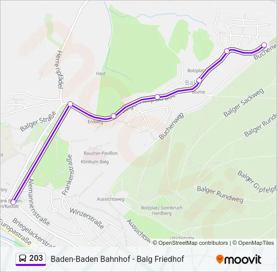 203 Bus Line Map