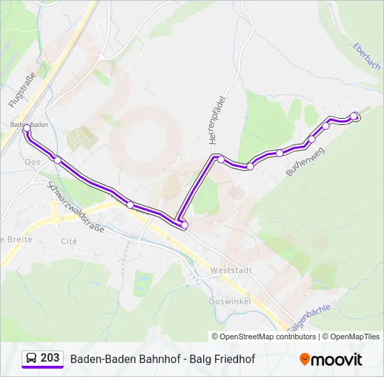 203 Bus Line Map