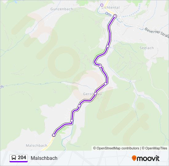 Buslinie 204 Karte