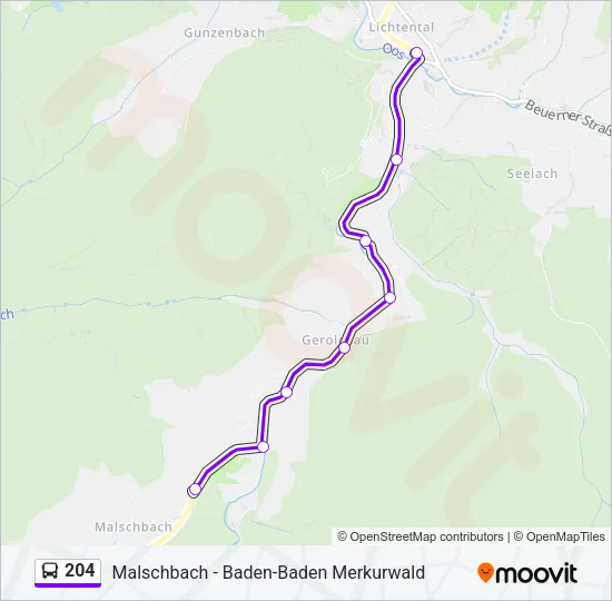 204 Bus Line Map