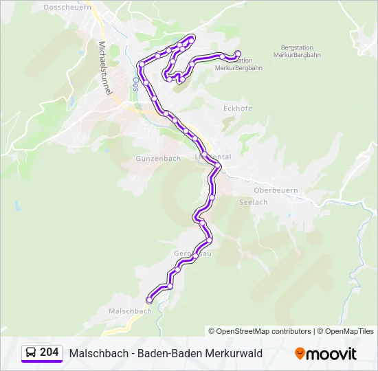 204 Bus Line Map