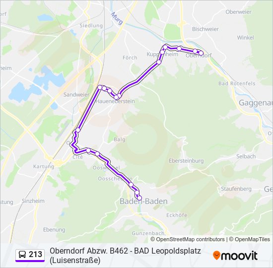 213 bus Line Map