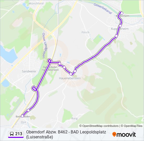 213 bus Line Map