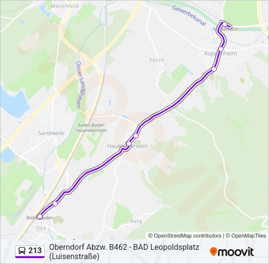 213 Bus Line Map