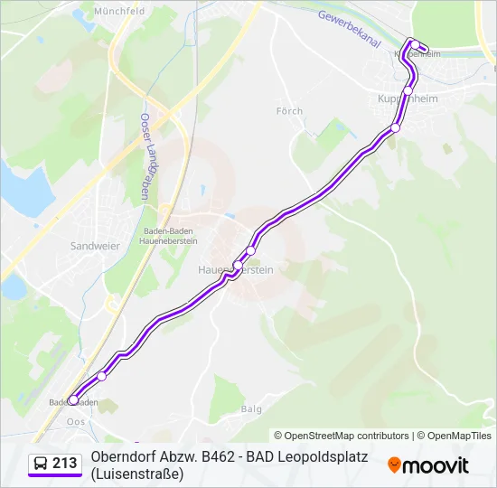 213 Bus Line Map