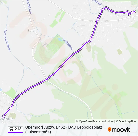 213 Bus Line Map