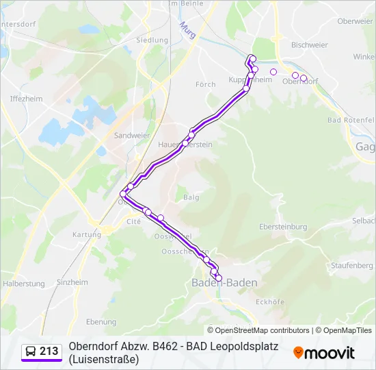 213 Bus Line Map