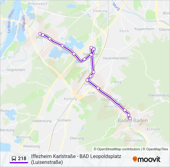 218 Bus Line Map