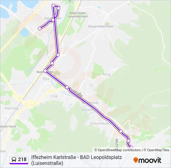 218 Bus Line Map