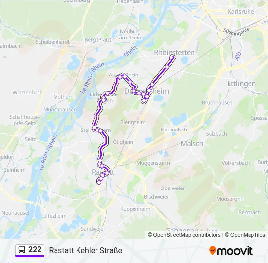 222 Bus Line Map