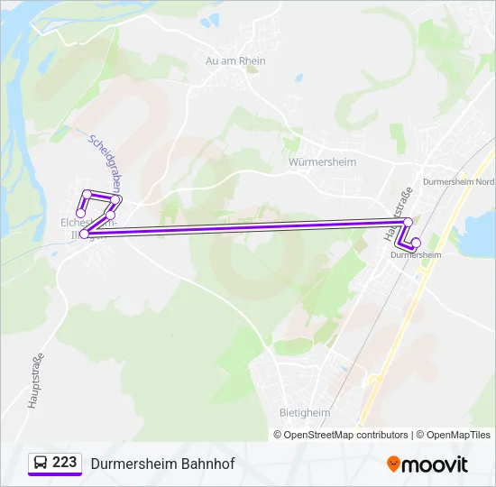 223 Bus Line Map