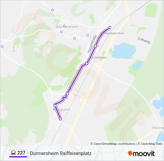 227 Bus Line Map