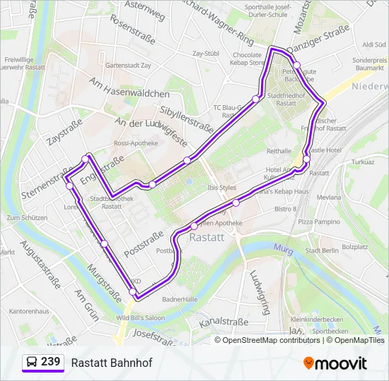 239 Bus Line Map