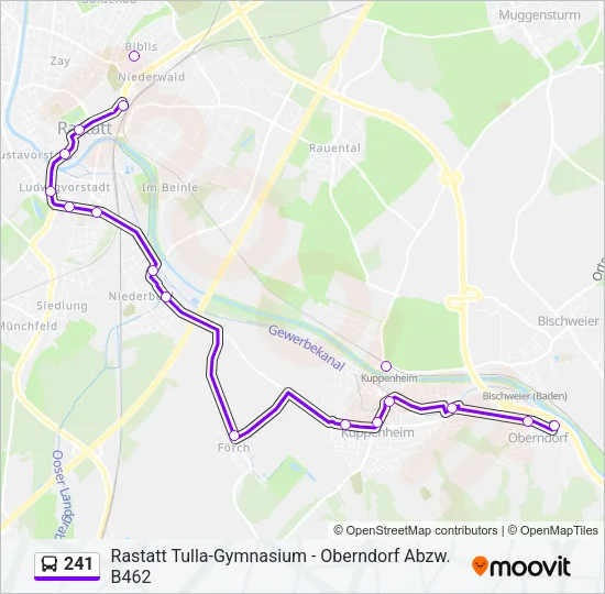 241 Bus Line Map