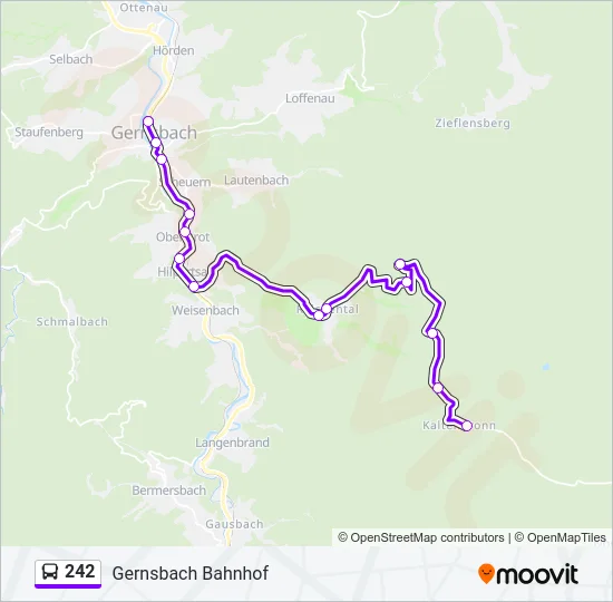 242 Bus Line Map