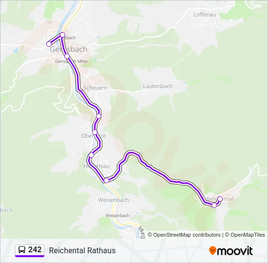 242 Bus Line Map