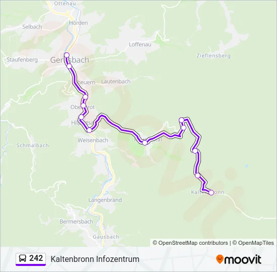 242 Bus Line Map