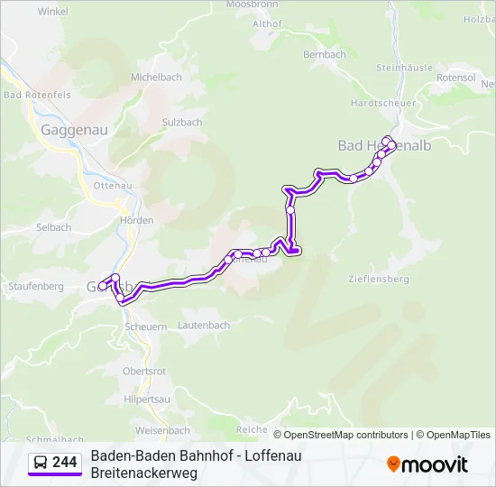 244 Bus Line Map