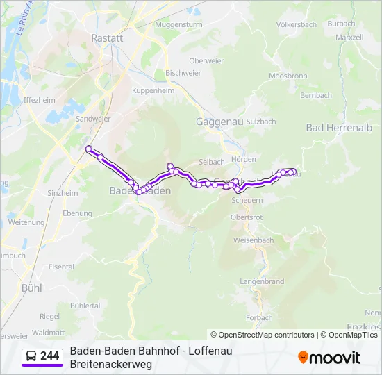 244 Bus Line Map