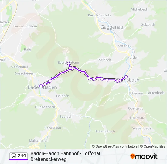 244 Bus Line Map
