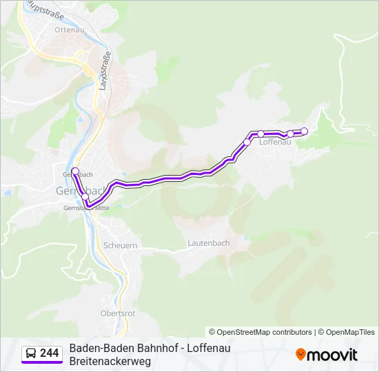 244 Bus Line Map