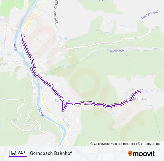 247 Bus Line Map