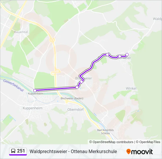 251 Bus Line Map