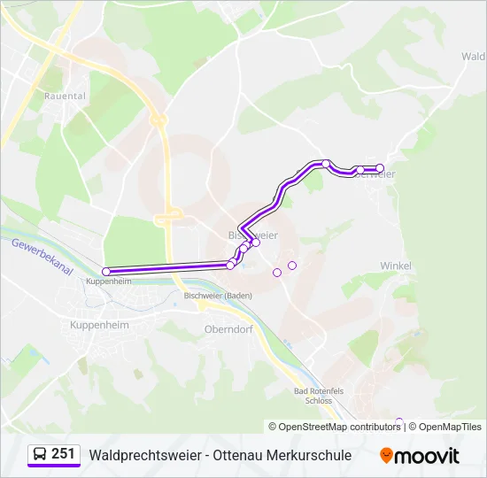 251 Bus Line Map