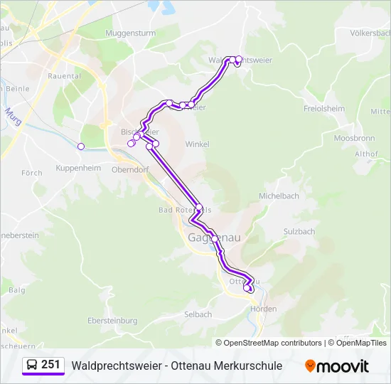 251 Bus Line Map
